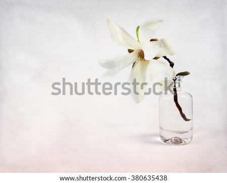 Magnolia flower in tiny bottle. Artistic background for greetings or invitation.