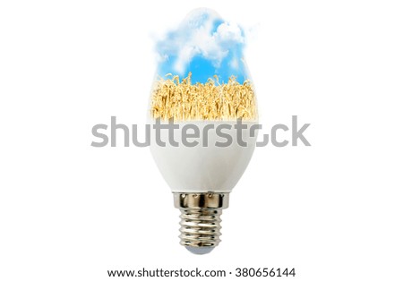LED lamp with a picture of wheat field inside on a white background