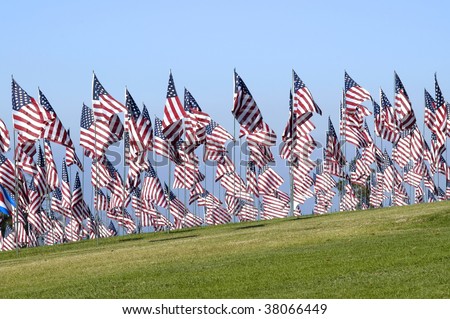 Rows of United States flags billow in the wind against a blue sky.