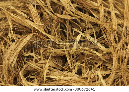 old wood fibrous structure abstract background