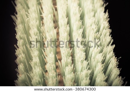Bristle brush for clothes. Shallow depth of field. Selective focus. Toned.