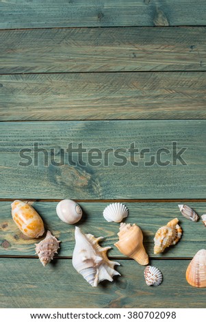 variety of sea shells on a wooden background