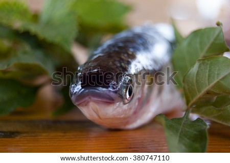 Fish. Interesting picture  close up, foto.