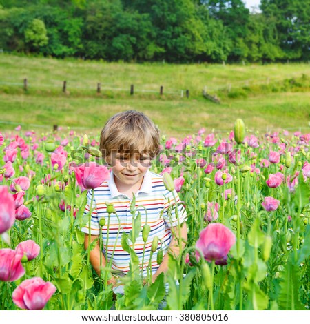 Cute happy little blond child in blooming poppy field with pink flowers. Smiling boy. Active leisure with kids in summer, on sunny warm day, outdoors.