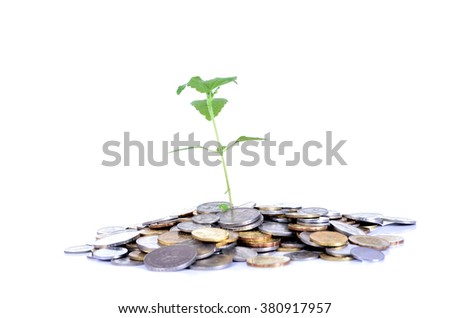 Financial Growth concept, Stack golden coin over white background