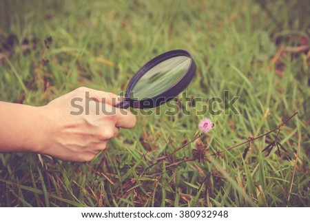 Close up human's hand exploring nature at flower with magnifying glass. Outdoors in the day time. Shallow depth of field (dof), selective focus on hand. Vintage style.