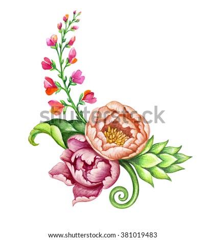spring floral composition, pink peonies and fresh green leaves, watercolor illustration isolated on white background