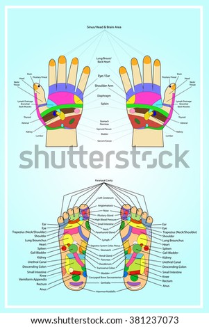 Traditional alternative heal, Acupuncture - Foot and hand Scheme
