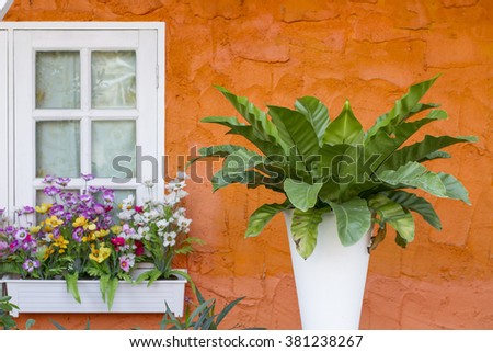 Green plants in pots on the window area