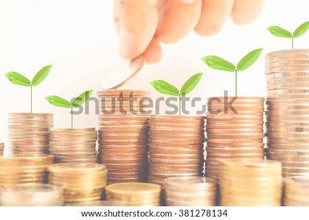 Growing plant on row of coin money for finance and banking concept