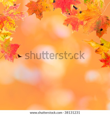 Falling leaves against the autumn background