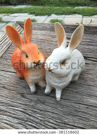 Rabbit couple in love