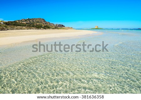turquoise water in La Pelosa beach, Sardinia Royalty-Free Stock Photo #381636358
