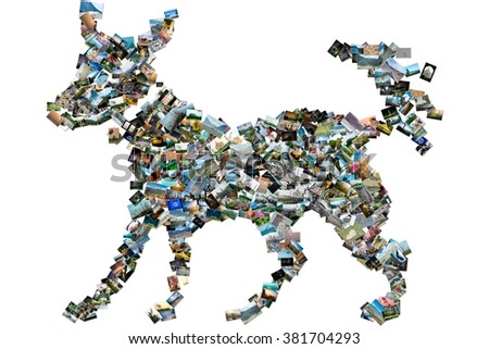 Collection of different photos placed as dog shape