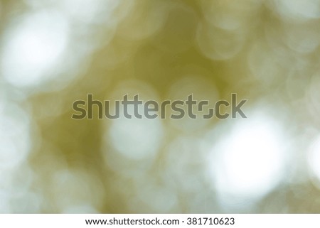 Nature blur background / bokeh abstract 