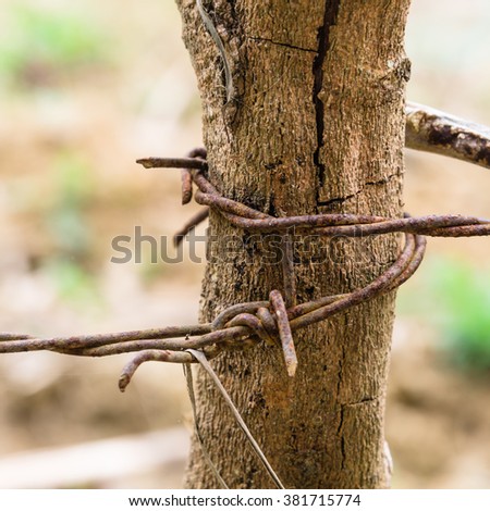 Close-up view rusty barbed wire tangled together on the old wooded pole against a blurred brown nature background. Detail old grunge iron fence of barb wire. Boundary, Protection and Security concept.