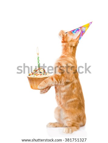tabby cat in birthday hat holding cake with candles. isolated on white background.
