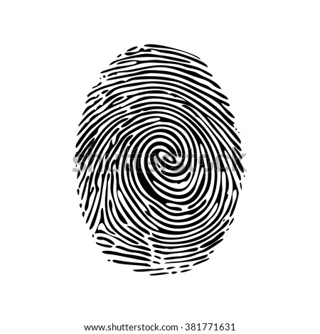 Realistic vector fingerprint isolated on a white background. Royalty-Free Stock Photo #381771631