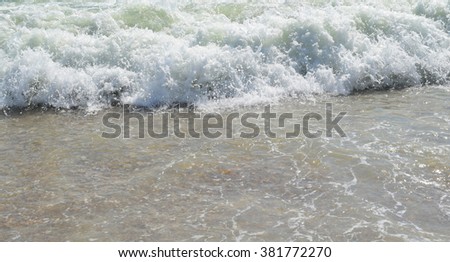 surf beach