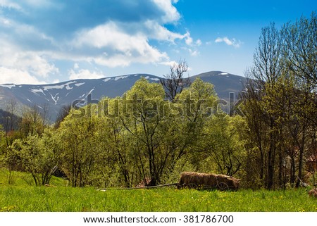 landscape of grass with hay in the cartload on the foreground and mountains with various trees and the tops of the mountains, with thawing snow and cloud in the blue sky in the background