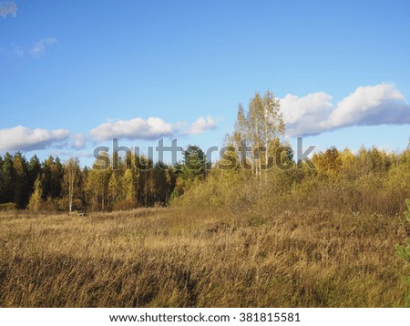  Autumn landscape. View of the autumn wood