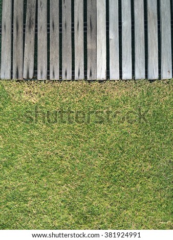 green grass and wood background