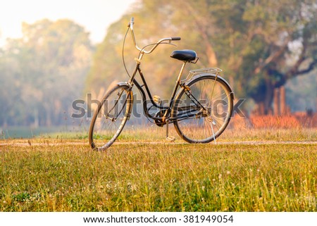 Landscape picture Vintage Bicycle with Summer grass field at sunset ; vintage filter style, Classic bicycle 