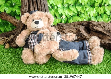 couple teddy bears on garden background, love concept