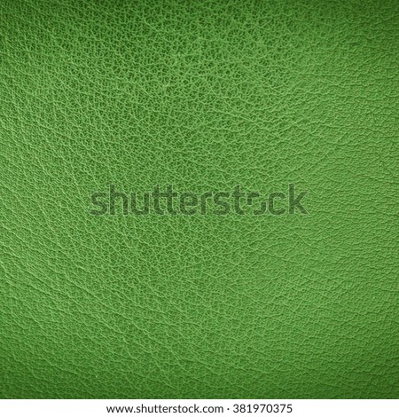 Beautiful leather background