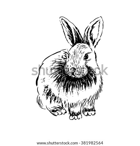 
Rabbit sketch. Hand drawn vector illustration.