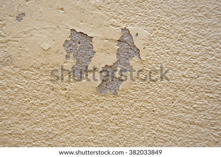 Paint peeling off the walls