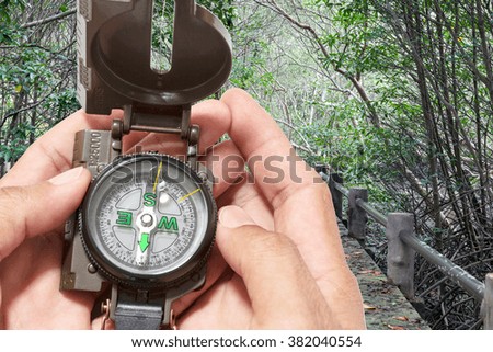 compass in the hand , in mangrove forest background