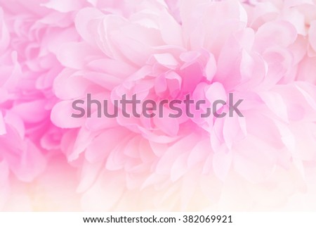 Pink flowers in soft style for background