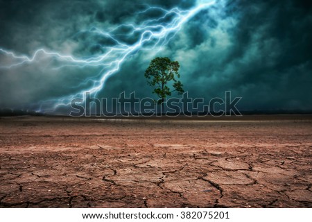 Land to the ground dry cracked and big tree. With lightning storm Royalty-Free Stock Photo #382075201