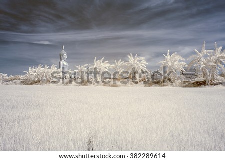 Infrared picture