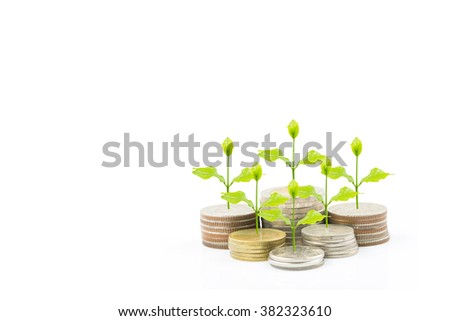 trees growing on coin isolated on white background,save money for prepare in the future,finance and money concept,space for text