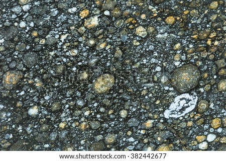 Meteorite carbonaceous Chondrite CV3 polished slice NWA 4446 rare stone meteorite