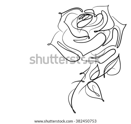 Drawing vector graphics with floral pattern for design. Floral flower natural design. Graphic, sketch drawing. rose