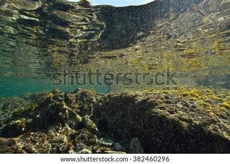 shoal underwater