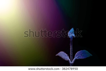 abstract flower background.