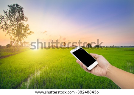 Man hand using Cell phone in rice field north of Thailand.