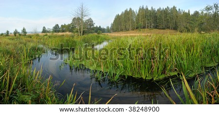 Panorama from 4 pictures, a landscape with a stream on a meadow.