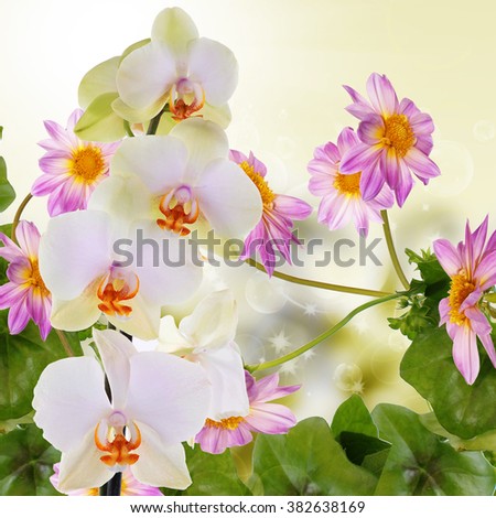 Beautiful flower background