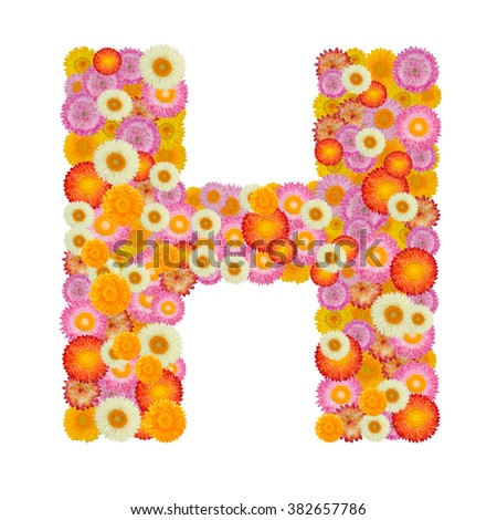 Letter H alphabet with straw flower isolated on white background