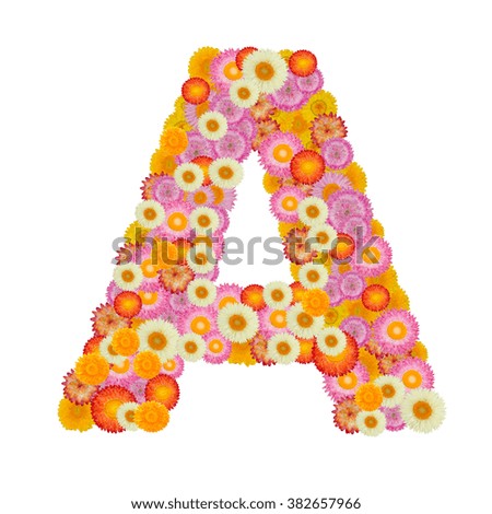 Letter A alphabet with straw flower isolated on white background