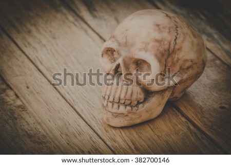 still life with Human skull on old wood background