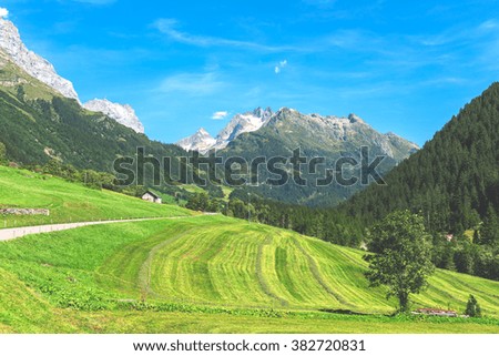 Glacier and snow mountain with green land landscape