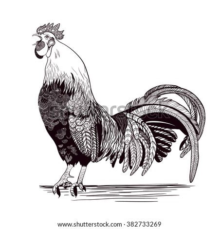Decorative vector image of a singing rooster.