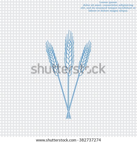 Ears of Wheat, Barley or Rye vector visual graphic icons, ideal for bread packaging, beer labels etc.