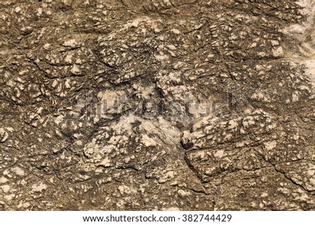 Photo closeup of costal beach sharp salty brown beige rock stone formations minerals solid layer on natural background, horizontal picture 